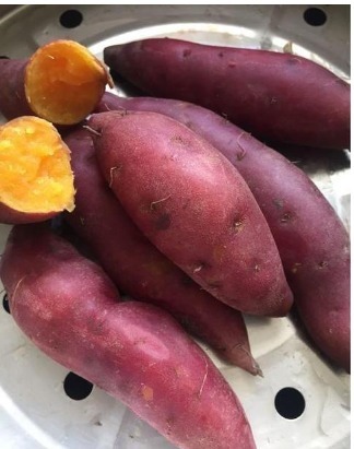 黄大娘|高血压人,能不能吃红薯长期吃红薯有什么好处说的清楚