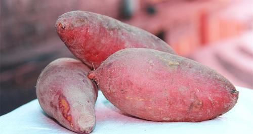 本草纲目|便秘别再吃泻药了,多吃此几物,加快肠胃蠕动,排便更轻松