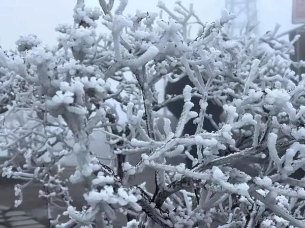 括苍|-2.7℃！台州一地提前出现奇观！