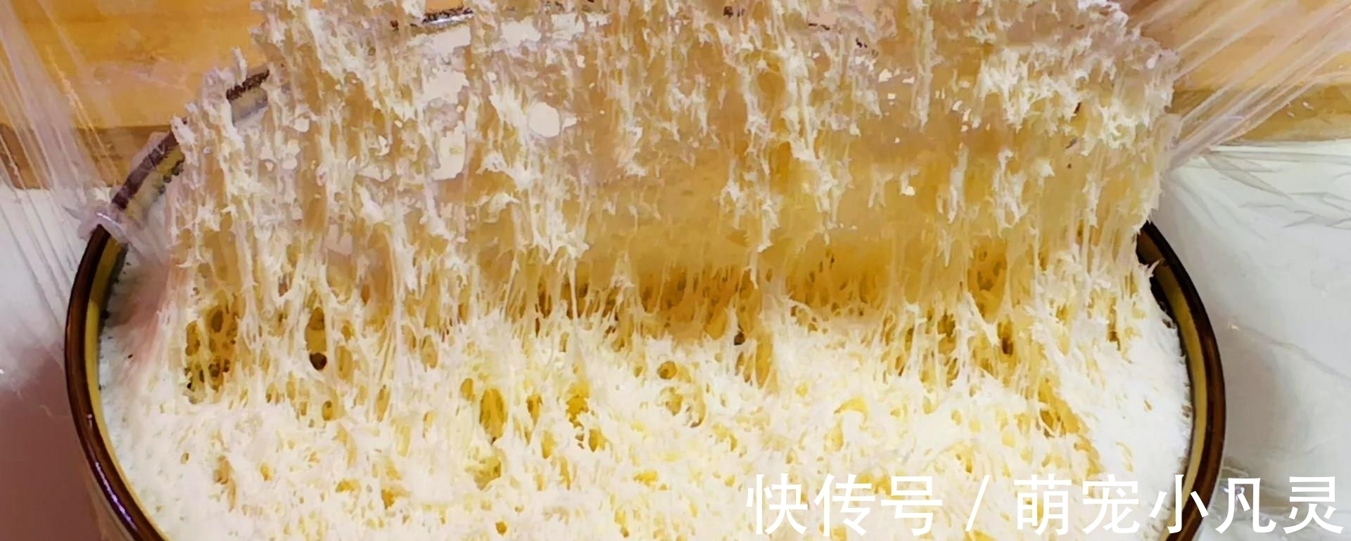 和面时,“加油”和“不加油”究竟有啥区别?看后别再瞎做了