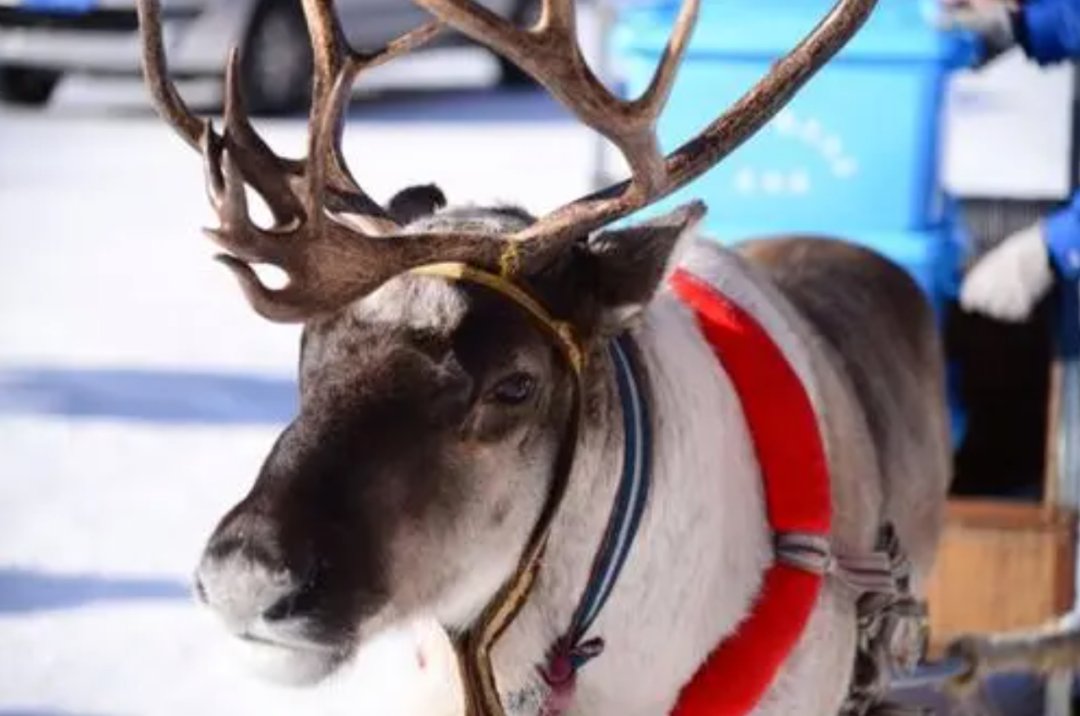 一个都不能少|赫哲人撒开千张网，船儿满江鱼满舱丨一个都不能少——长卷寻宝