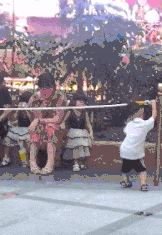 GIF|搞笑GIF：就是这只猫，在家里比我的地位都高