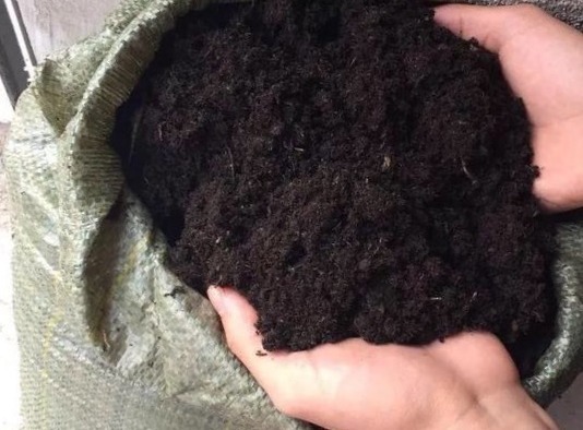 盆土|花盆里放一个小玩意,盆土常年透气不板结,盆栽长得壮开花多