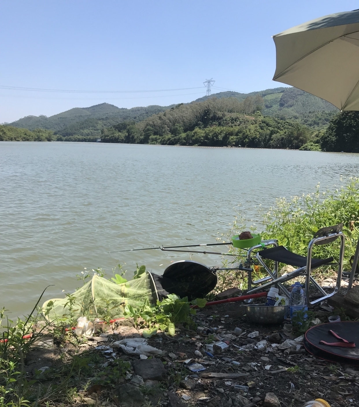 窝里鱼很多就是不开口?分析不开口原因,解决后大概率狂口!