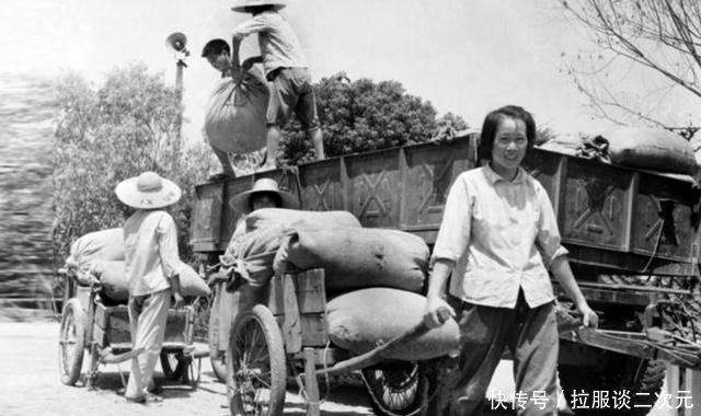 老照片|50年代的中国老照片：小学生捡稻根灭螟虫，女人杀猪干净利落！