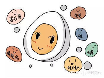 干货|宝宝吃鸡蛋指南 ,干货收藏