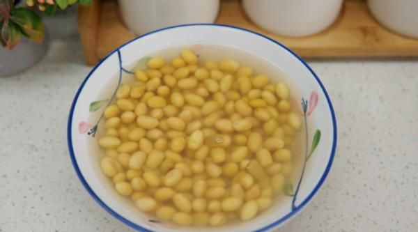 养花经验分享：豆饼、黄豆制成肥料期间，该注意哪些细节？