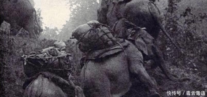 印度|日军攻打印度, 英国人啥都没干, 日军就死一半, 只因为此人的愚蠢!