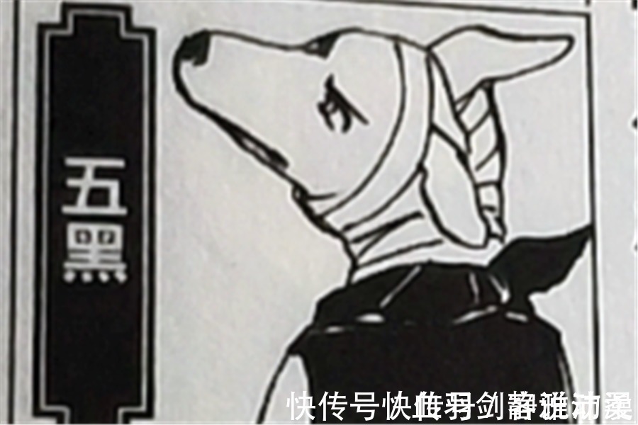 阿基诺|卡卡西的八忍犬都叫什么名字?帕克让小樱抓狂,阿基诺时刻戴墨镜