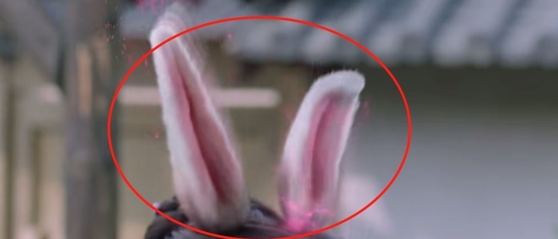 预告片|斗罗真人版透露两个重点,小舞问题已有答案,比比东骂声却最多?