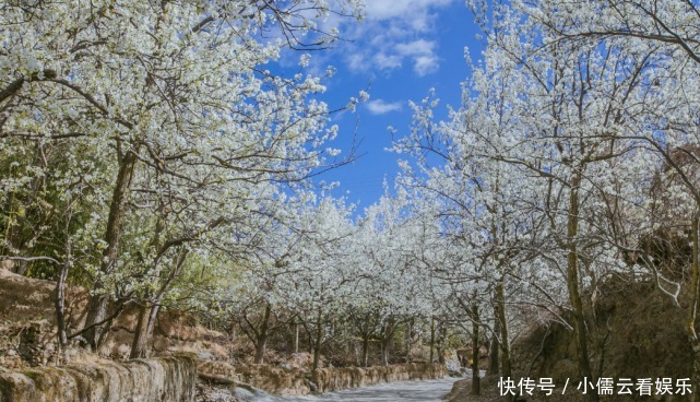 大唐|阳春三月,春回大地,三月赏花好去处