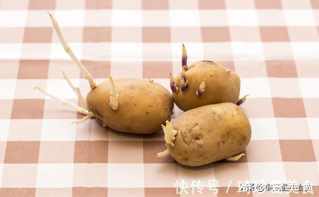 休眠期|土豆千万别放冰箱!记住3个保存方法,土豆放半年也不发芽不腐烂