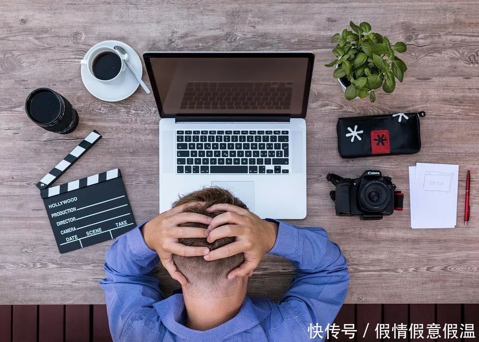 补足|肾好人不老老中医推荐3款经典食补方,温肾固肾,补足一身阳气