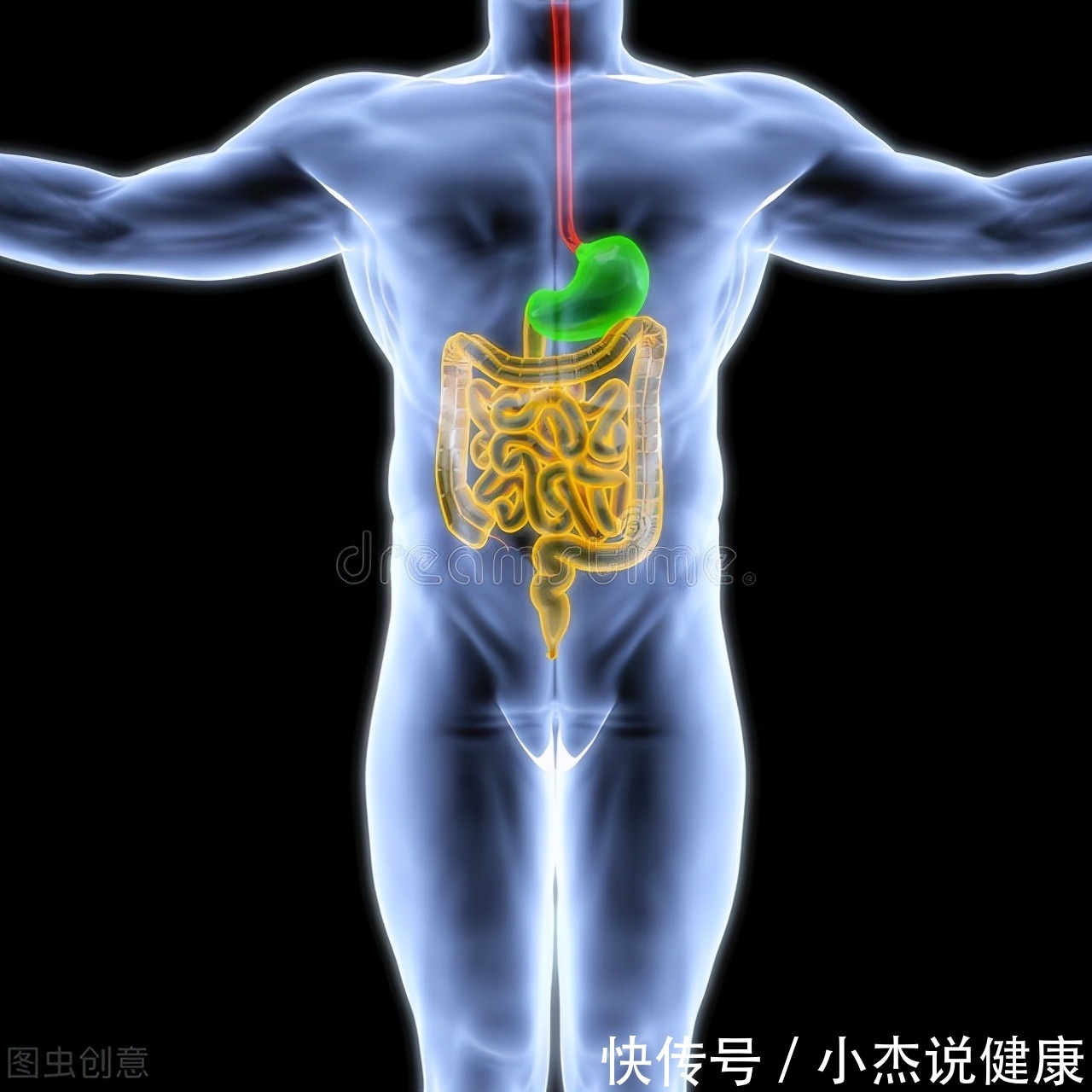 营养均衡|脾胃科王维医生:脾胃虚寒该如何调理呢