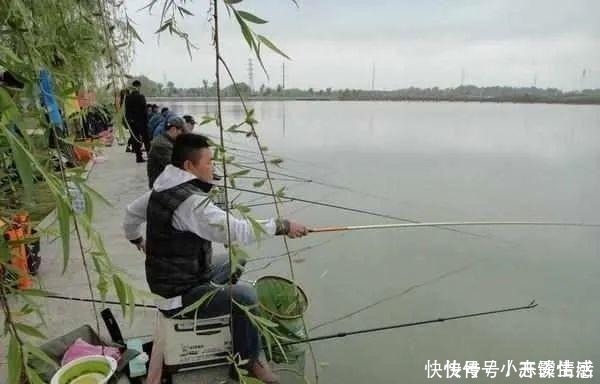 夏天|夏天钓鱼,这几个小细节不改过来,永远别想钓大鱼