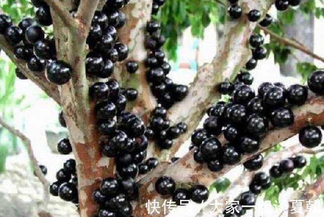 皱纹|女性过了40岁，可常吃此物，淡化皱纹，减淡色斑，肌肤显年轻