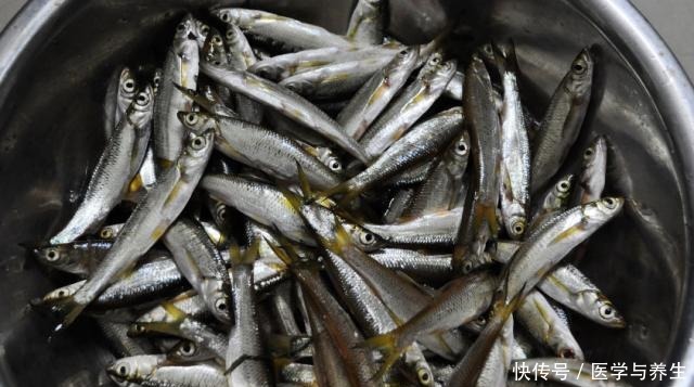 拉白条鱼的乐趣,随便找个水库边连竿