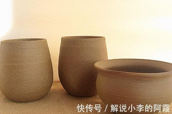 植物花盆选用有讲究,用错花盆植物寿命会减短