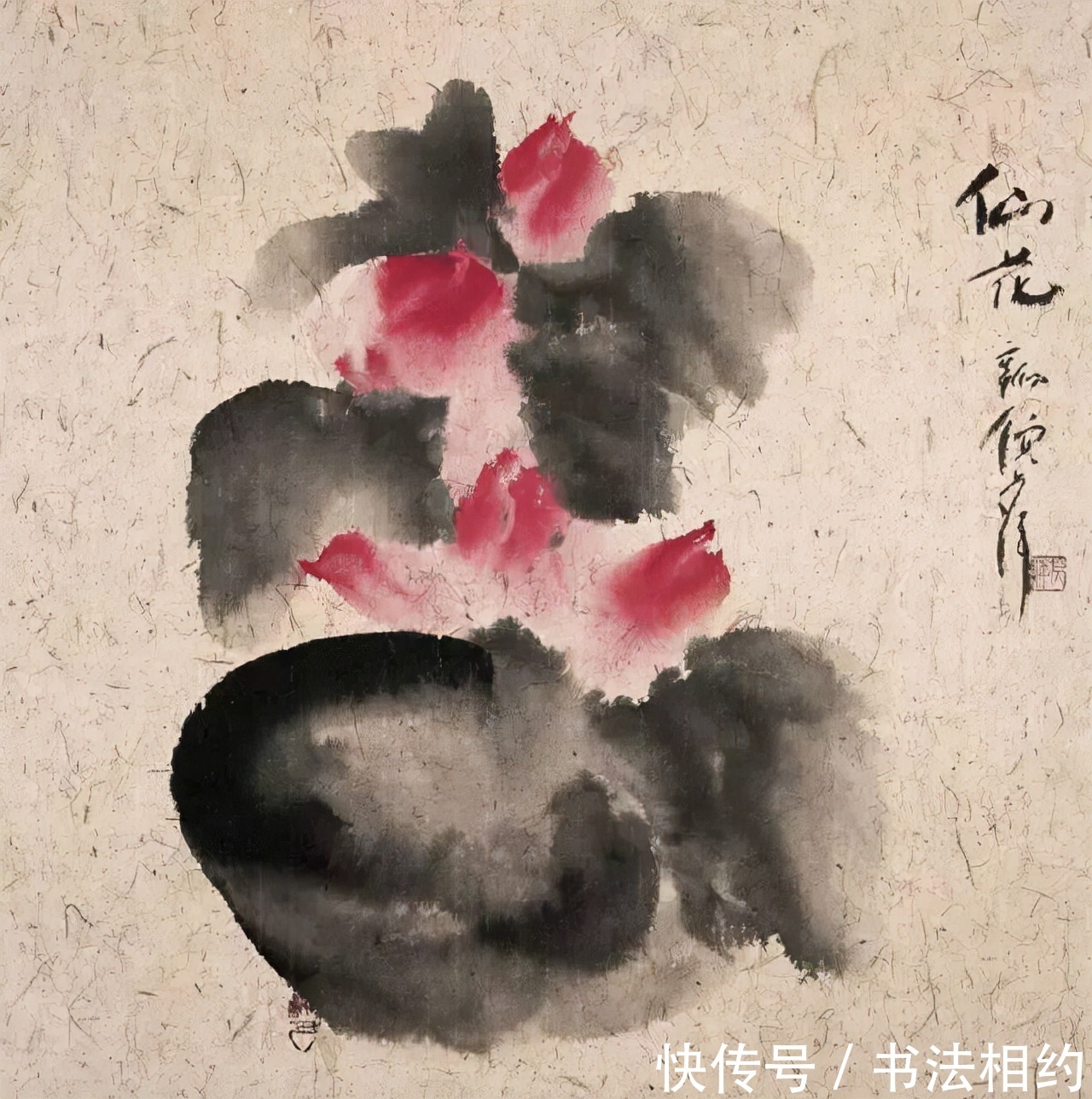 绘画#倪萍瘦了!其绘画一绝,没曾想书法亦精绝,果敢洒脱,不染俗气