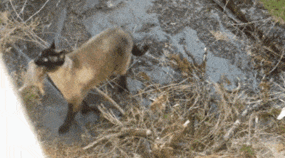 |搞笑GIF:大姐,不要不好意思,你也到了该找对象的年龄了