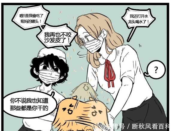 主人|搞笑漫画：梳完毛就像是变了一只猫，主人看到都不认识了！