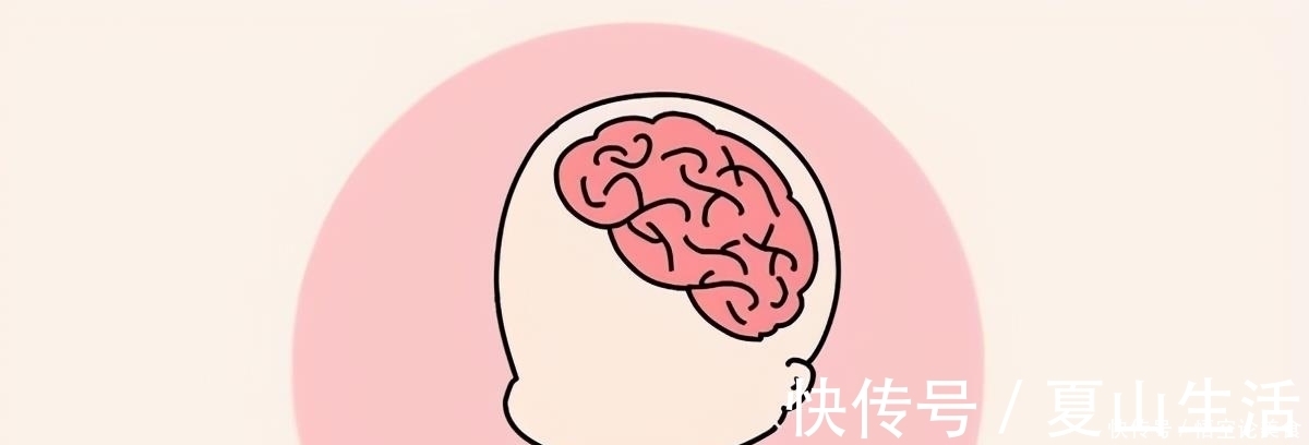 发育|胎儿有3个大脑发育“高峰期”,妈妈要抓住时机,对孩子有帮助