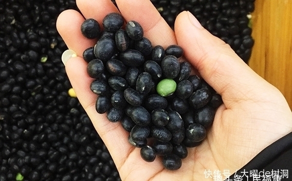 常吃|45岁至59岁是“养寿期”，多吃3黑，做好4戒，或能更长寿