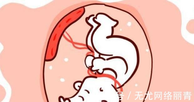 香烟|孕妈妈经常碰的4种东西,会让胎儿很受伤,不妨一看