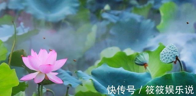 西风!李璟最美的一首词,仅开头两句便已惊艳世人,连王国维都极为推崇