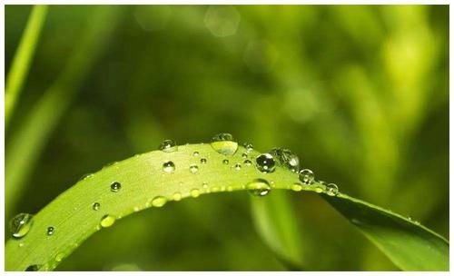 要求|你的内心恐惧越多，你对孩子的要求也便越多