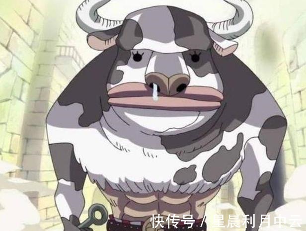 霸王色霸气|海贼王里的4个稀有设定,幻兽种仅5颗,果实觉醒仅2人成功
