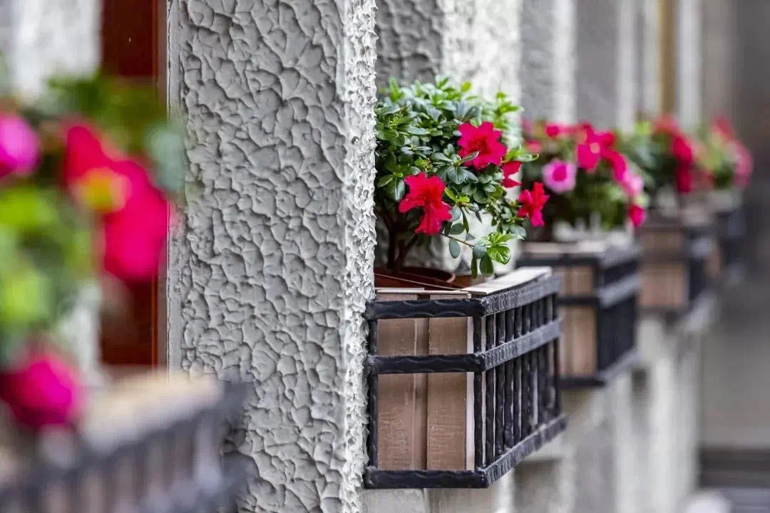 孙甘露：我喜欢在上海读书，不分昼夜，不论时节|喜欢上海的理由④| 思南