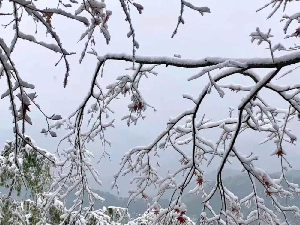 邂逅|来莫干山，邂逅一场冰雪奇缘吧！