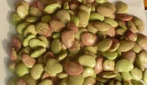 补血|常吃此“豆中之王”，能健脾壮肾，抗风湿，补血补钙，你认识吗