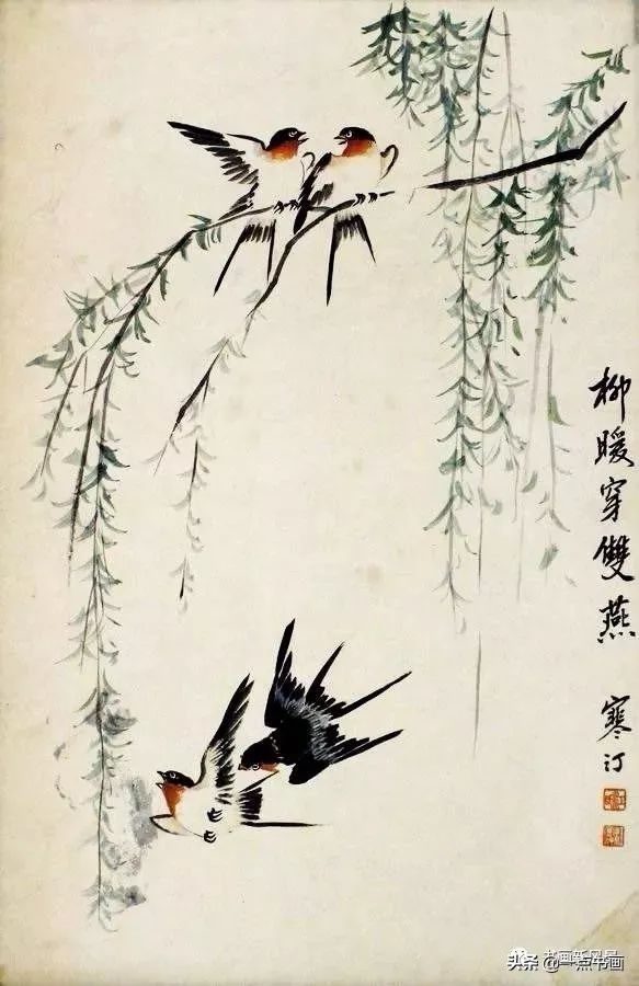 花鸟画@江寒汀 笔下的飞鸟30幅,不愧当代海派花鸟画第一人