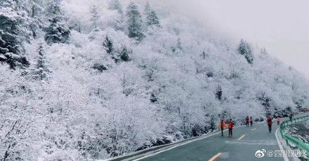 春雪|冰雪世界！春雪后的汶川沿路冰花绽放