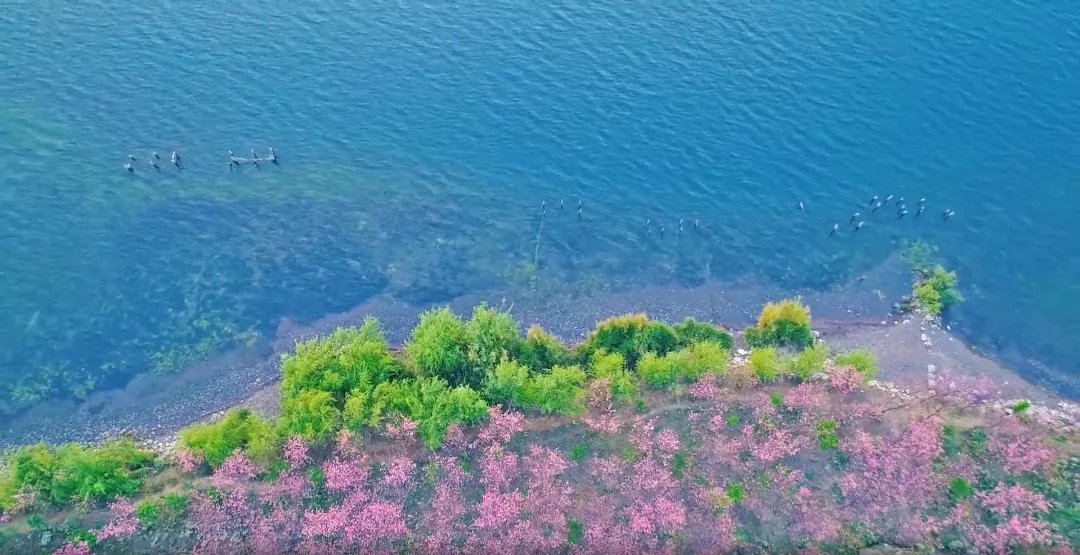 蜜饯|云南恢复跨省游！这个本地人私藏的后花园，默默无闻真的低估了