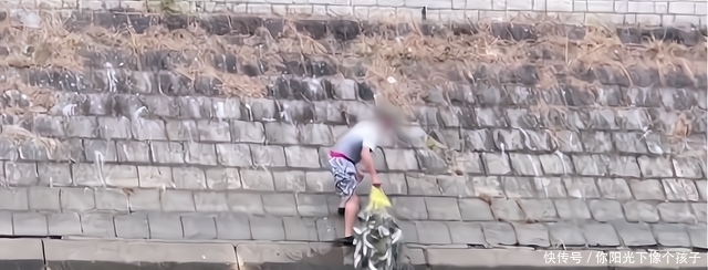 香港河道乌头鱼泛滥,钓鱼人:不需要技巧,随便钓几十斤