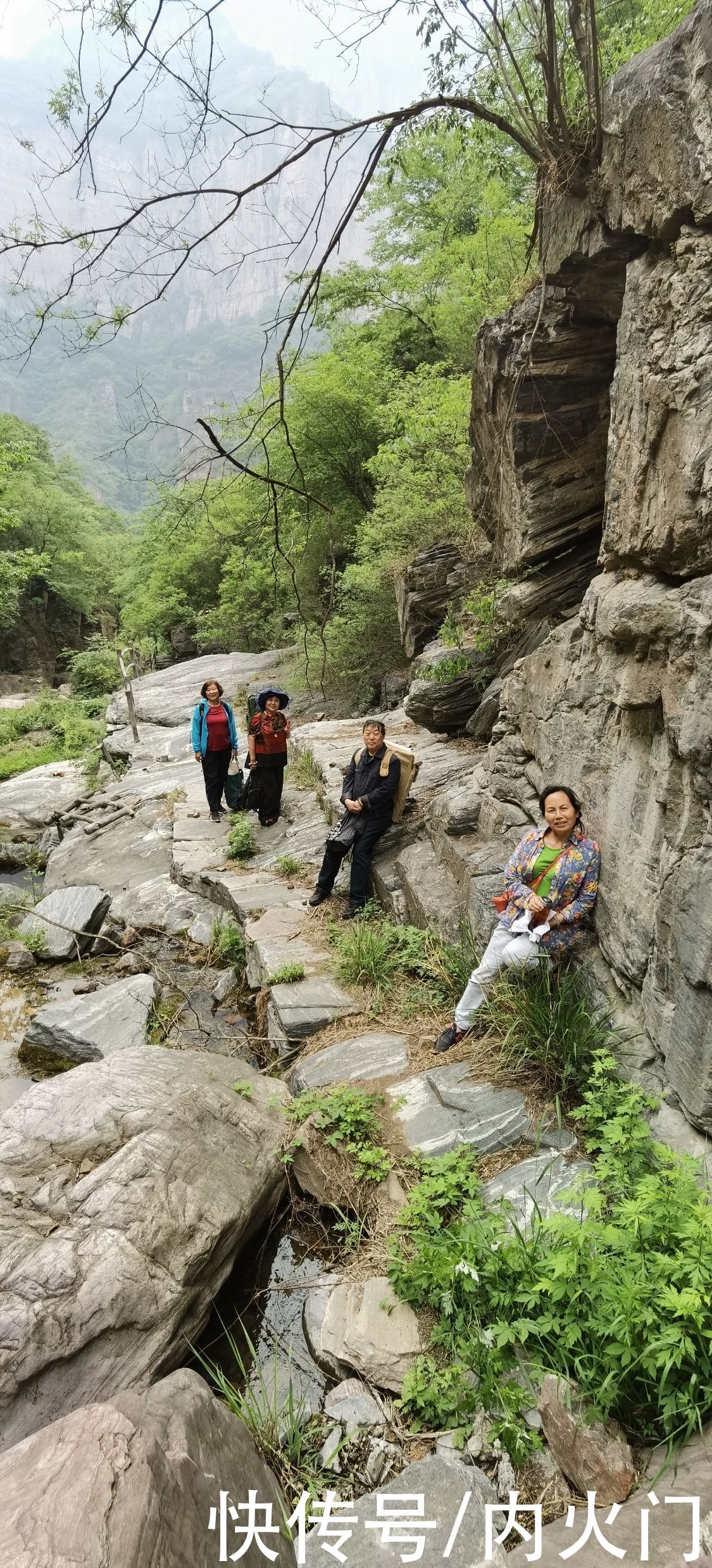 太行山|河南省花鸟画研究会走进太行山采风写生活动