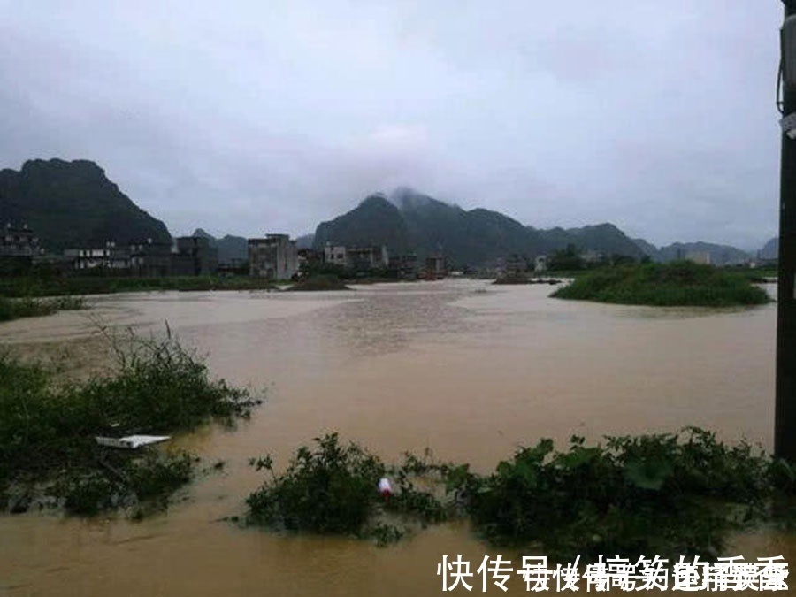 钓鱼|洪水过后去钓鱼,这么大的黄颡鱼,还是头一次钓获