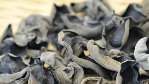 营养师|吃黑木耳能够降血脂、降血糖吗?营养师:一种木耳不可随意吃