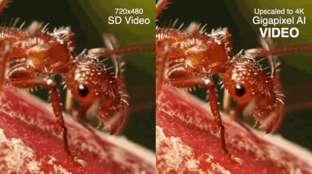 影片如何变高清?试试这款 TOPAZ VIDEO ENHANCER AI 黑科技神器-HEU8