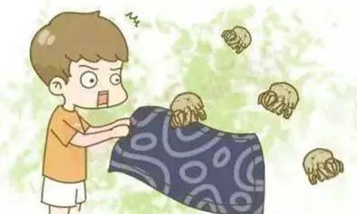 毛囊|枕头不清洁,百万螨虫陪你睡!只需一招,洗都不用洗,立刻变干净!