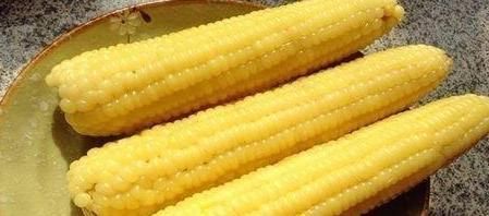 食物|晚上坚持吃3种食物，晨起后准时上厕所，不用来减肥真是亏了！