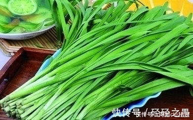 韭菜|医生忠告:看到这样的韭菜不要买,更不要吃,现在知道还不迟