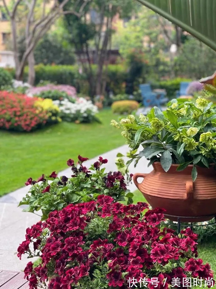 下午茶|一楼430㎡大院子,用1年半建成花园,网友:你这是建了个公园吧?