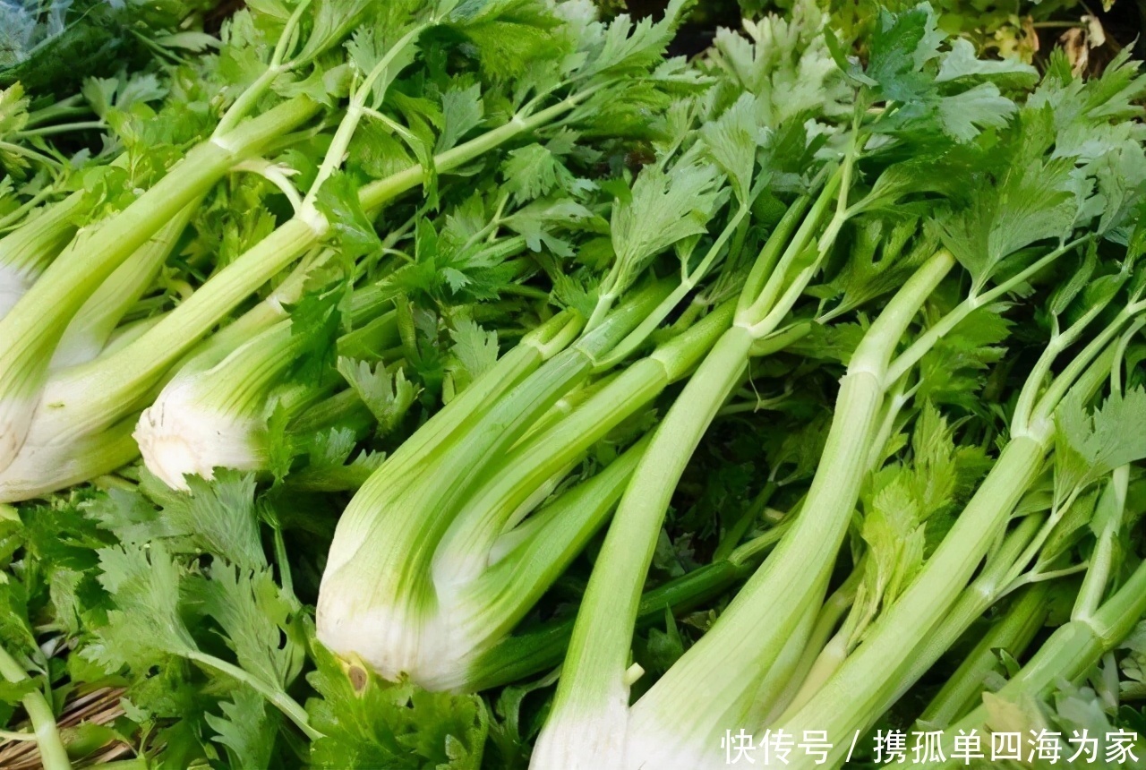 不论男女，早起空腹常吃次3种食物，清肠胃排宿便，赘肉悄悄溜走