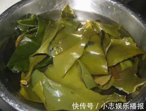 泡海带，表面出现的小疙瘩能吃吗？厨师长告诉您，可别再瞎吃了！