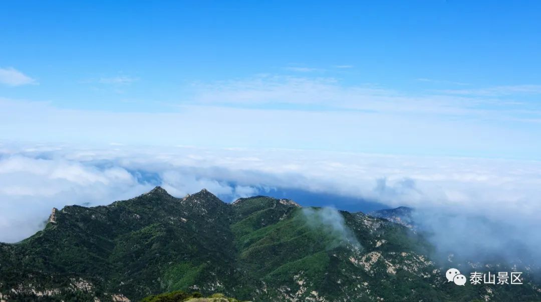 云海|云海浮波翻涌山水澹澹生烟