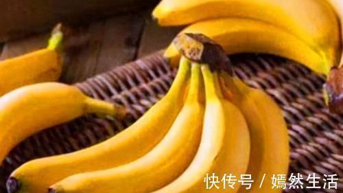 红豆杉|农村遍地都是宝,3种食物,田边疯长,养肝护肝,降肝火,还好吃